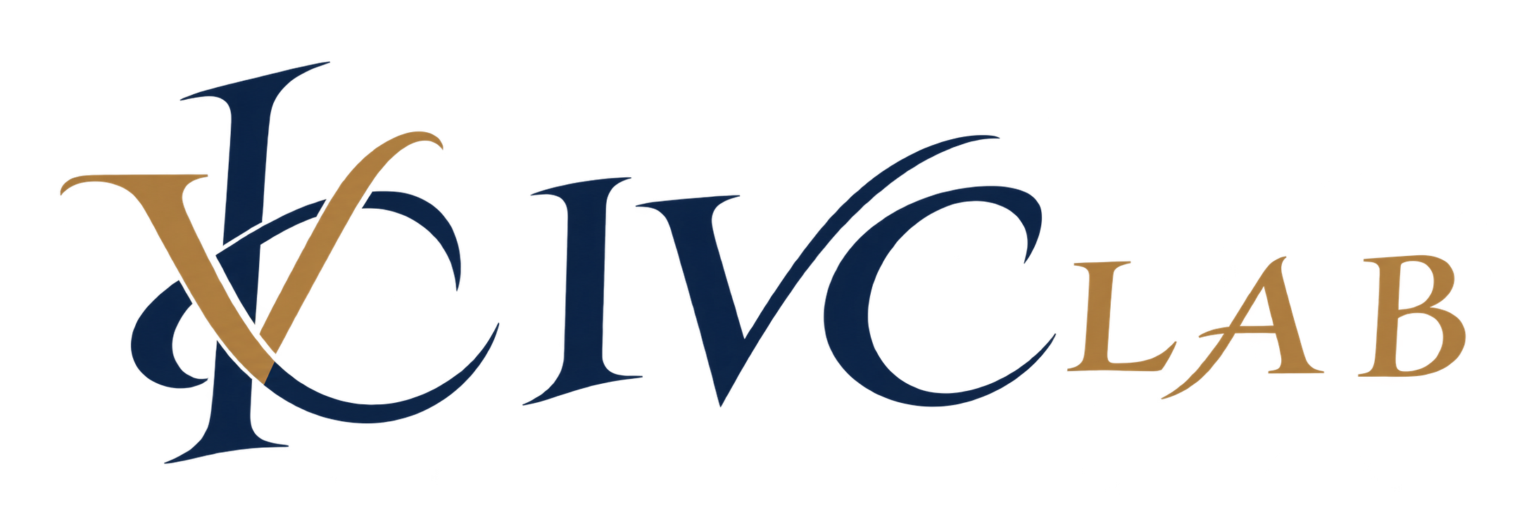 Publications | IVC LAB
